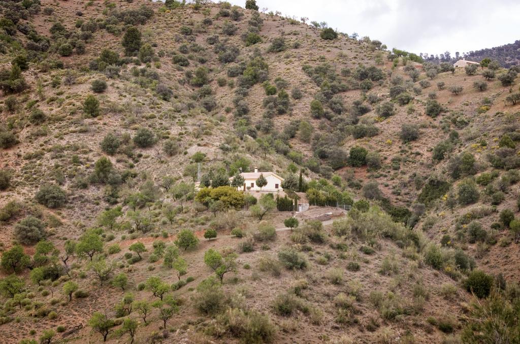 Rural Montes Malaga: Finca Pedregales Room photo